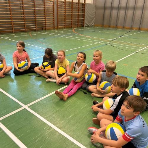 Volleyball