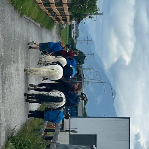 reiten