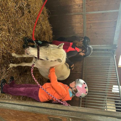 reiten