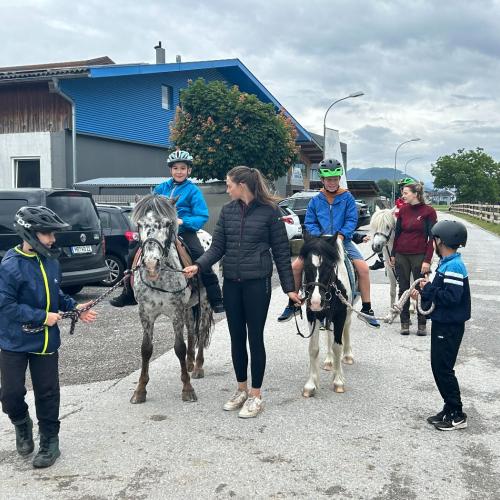 reiten