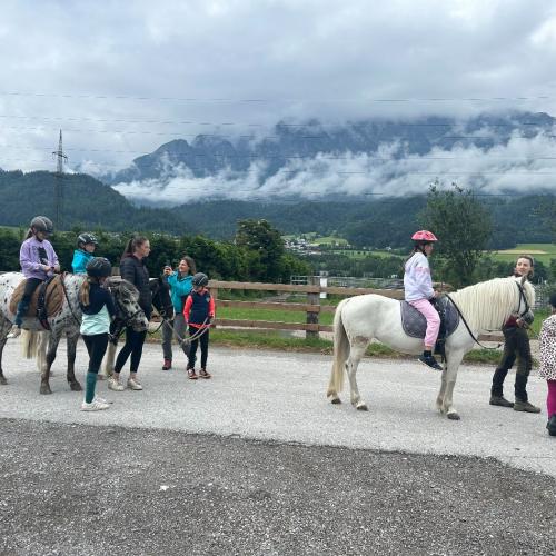 reiten