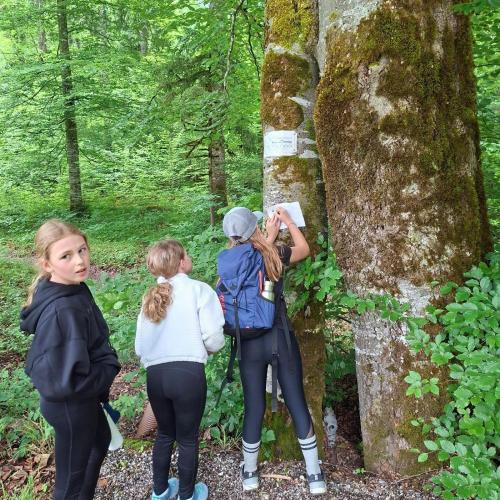 Schatzsuche