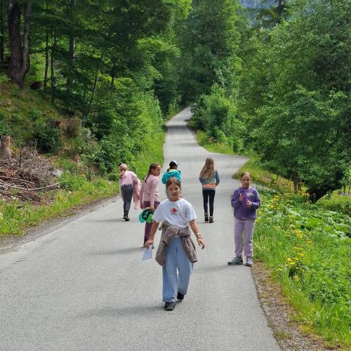 Schatzsuche