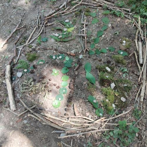Waldtag_2a_2b_2c