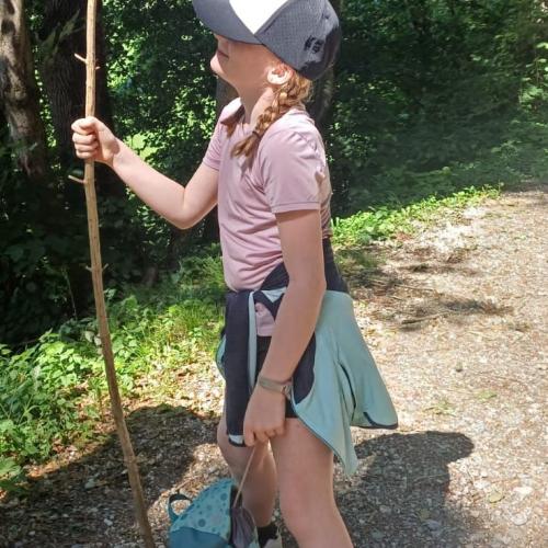 Waldtag_2a_2b_2c